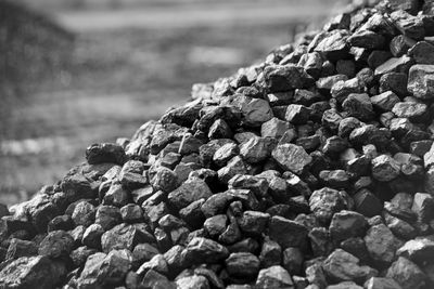 Bagged Coal