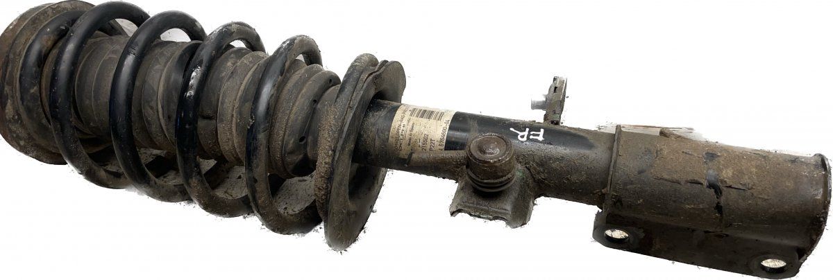 Suspension Leg Front Right BMW X5 (E53) (2000-2007)