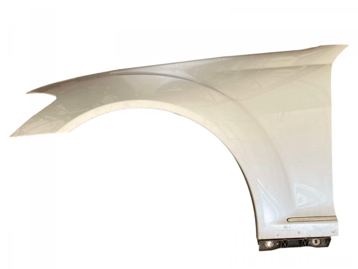 A2218800118 Fender Front Left MERCEDES-BENZ S-CLASS (W221) (2005-2013)