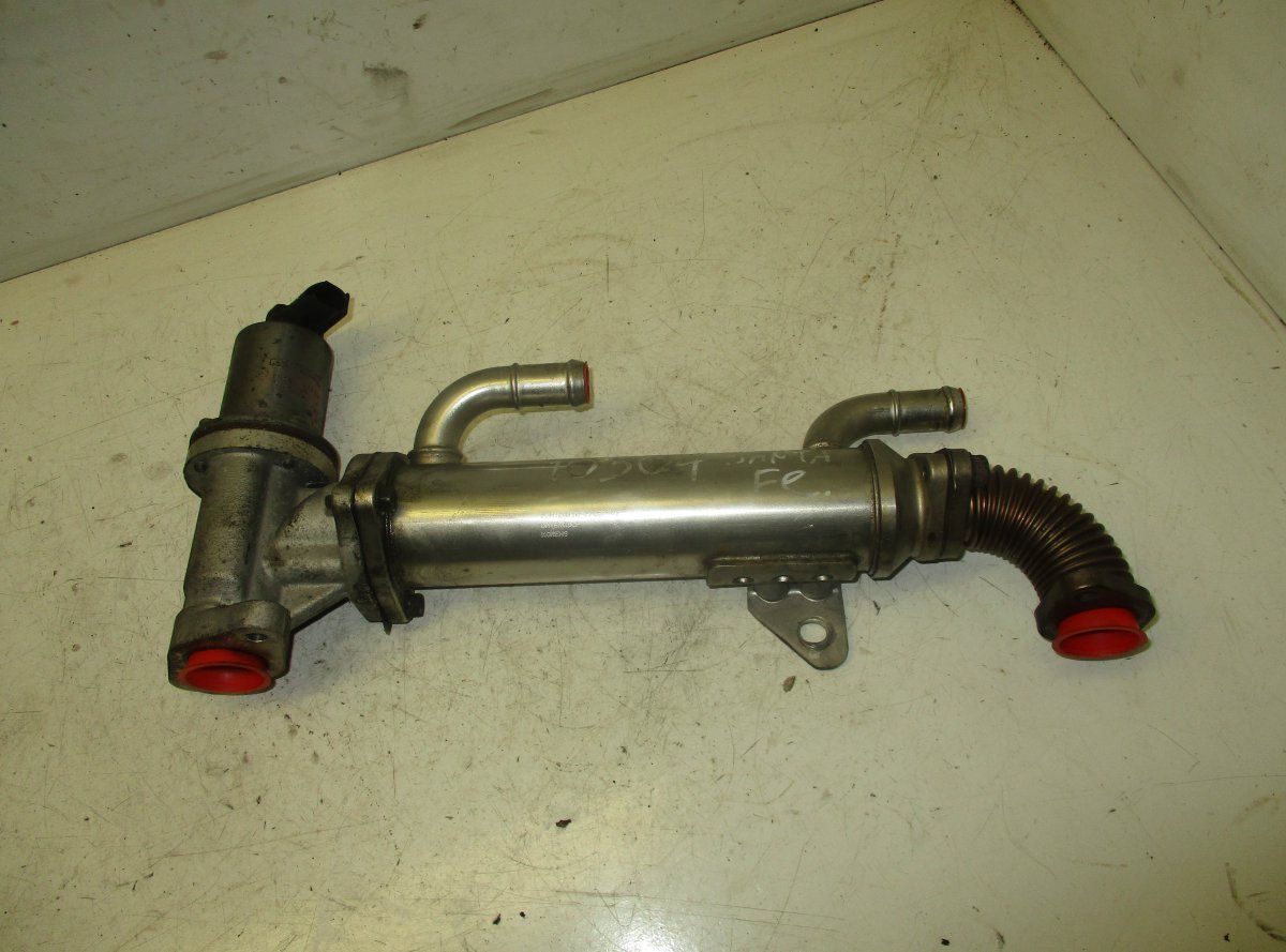 EGR Valve HYUNDAI SANTA FE II (CM, NC) (2005-2012)