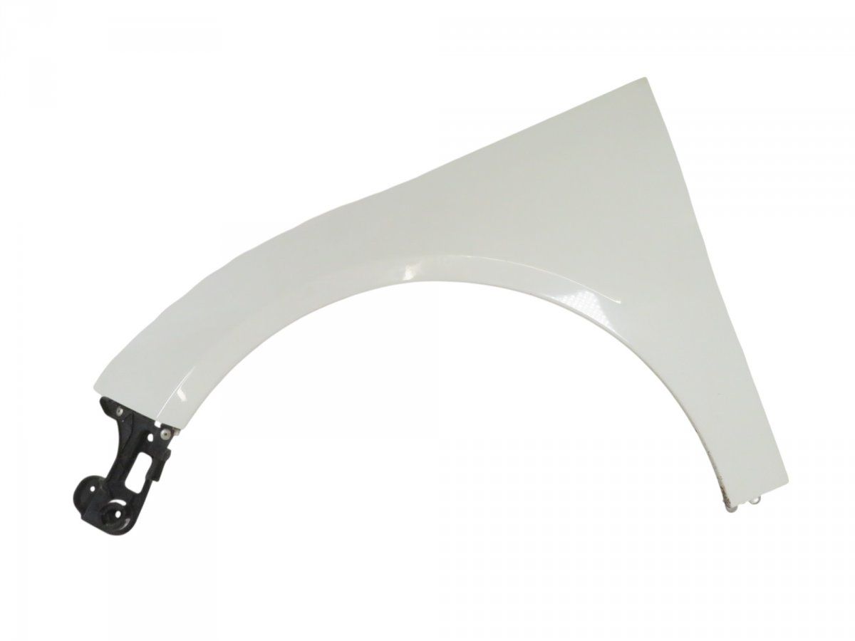 A2518800506 Fender Front Left MERCEDES-BENZ R-CLASS (W251) (2006-2013)