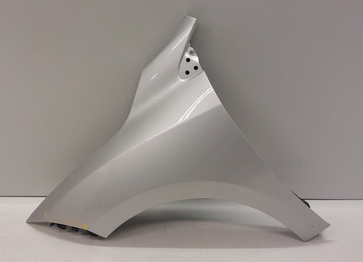8200993338 Fender Front Left RENAULT MEGANE III (DZ/BZ/KZ) (2008-2016)