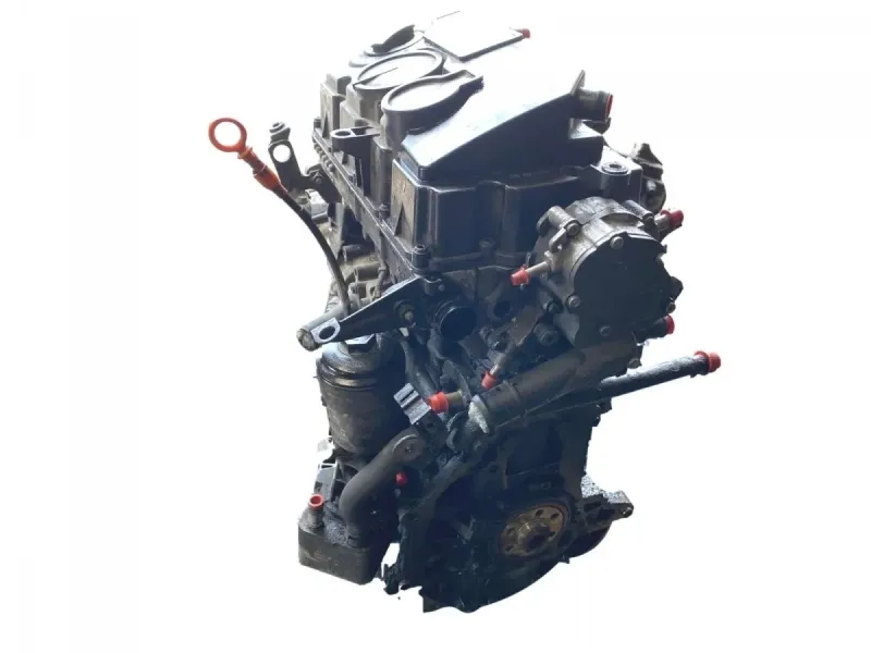 VW Passat B6 / VAG 2.0 TDI 103kw BMM BMP engine