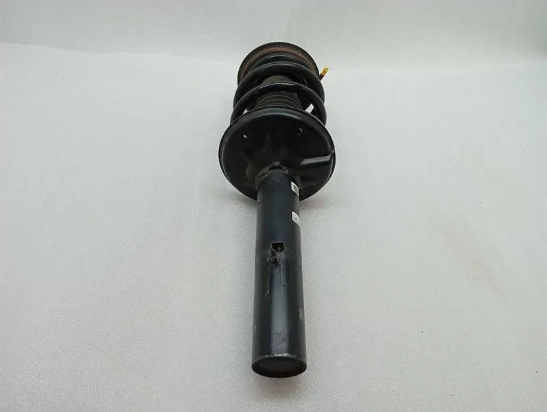 Porsche Cayman 718 shock absorber rear 982512021C shock absorber rear