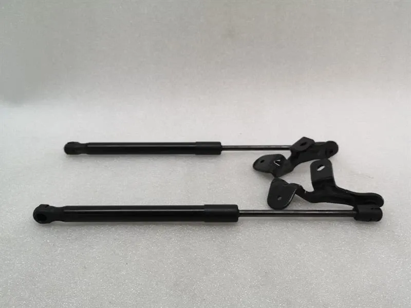 Tesla Model 3 Long Range Bonnet Strut set 1089586-00-C hood hinge set