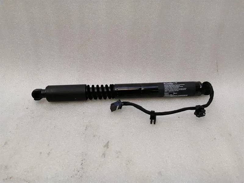 Tesla Model X 75D Falcon Door Strut 1063441-00-C Door Lift Gas Struts Left