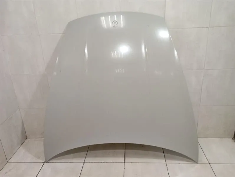 Porsche Taycan 9J Bonnet 9J1823031AYGRV Bonnet