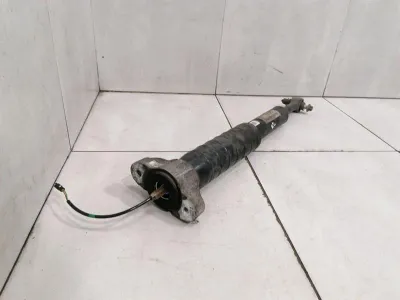Maserati Quattroporte VI M156 absorber rear 670105403 shock absorber rear EDC