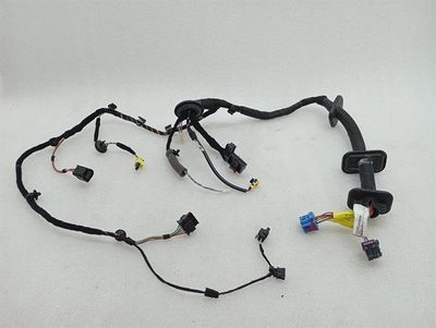 Porsche Cayman 718 GT4RS Wiring Loom 9P4971688AJ LEFT DOOR Wiring Harness