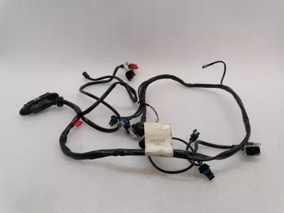 Ferrari 550 Maranello F133 Wiring Loom RH DOOR WIRING RHD Wiring Harness