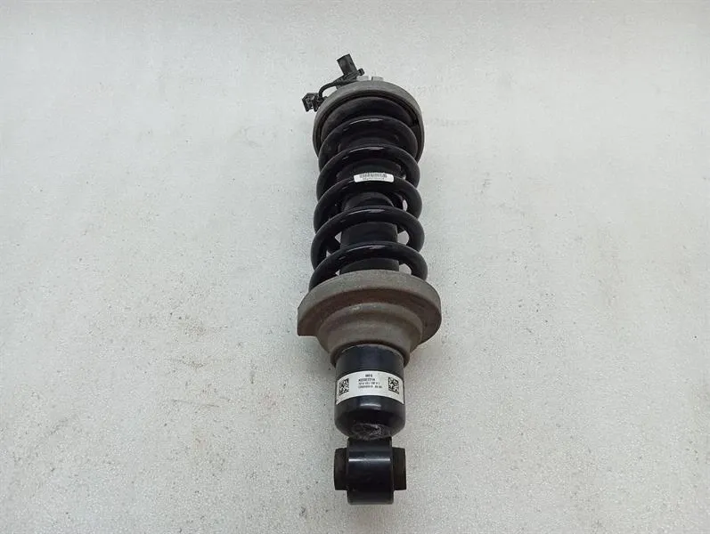 Lamborghini Huracan LP640 EVO shock absorber rear 4T7512019D shock absorber rear