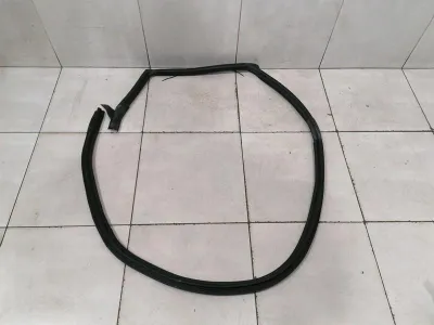 Ferrari Purosangue F175 door seal 880254 door seals RH rear door rear door