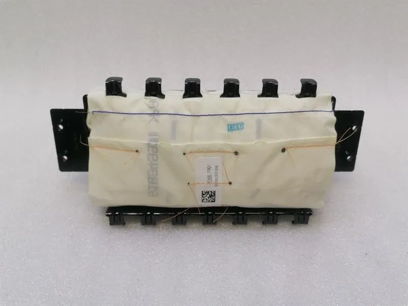 TESLA MODEL 3 STANDARD RANGE Module 1077824-CN-F Module