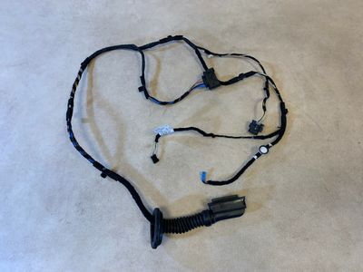 BMW X1 F48 Genuine Door Wiring Harness Rear 61129384585 61126812218