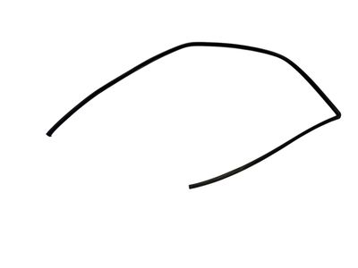 GENUINE Land Rover Range Rover Sport L320 FRONT RIGHT DOOR WINDOW SEAL CFE500880