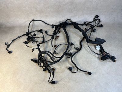 Porsche 911 991 Carrera 4S Genuine Petrol Engine 3.8 Loom Wiring Harness