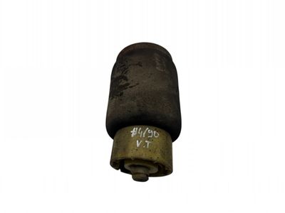 37126750355 Air shock absorber rear left BMW X5 (E53) (2000-2007)