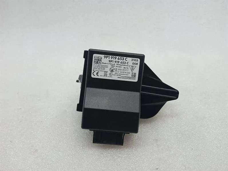 Porsche Cayman 981 GT4 Racing Control Module 9P1919653C ECU TRACK APP