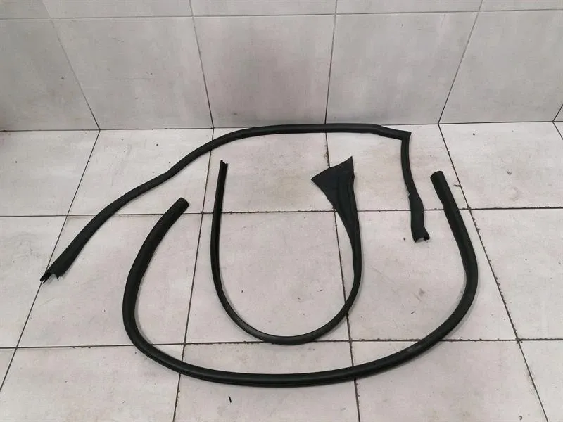 Aston Martin DBS SUPERLEGGERA AM7 Left Door Seal HY53-C215K45-AA Door Seals -