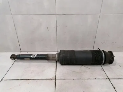 Mercedes S-Class W220 shock absorber rear A2203201838 shock absorber rear ABC-