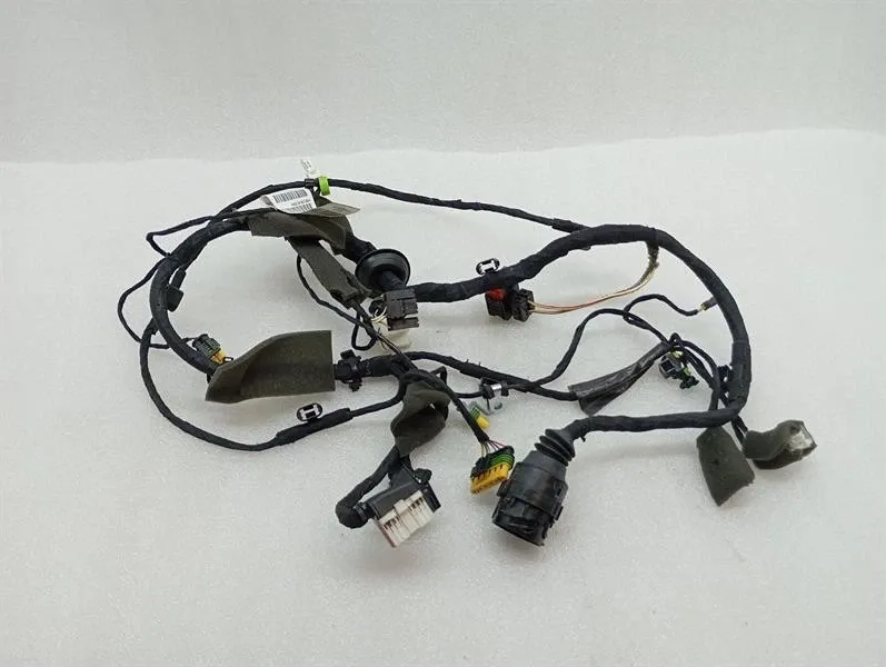 Ferrari 599 GTB F141 Wiring Loom 226231 LH DOOR Wiring Harness-