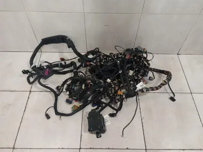 Ferrari 599 GTB F141 Wiring Loom 235873 Passengers Compartment Cable Wiring Harness-