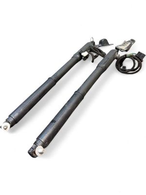 51247332695 51247332696 7332695 7332696 Bootlid / tailgate strut set BMW X5 (E70) (2007-2013)