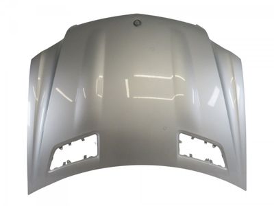 A1648800257 A1648800657 Bonnet MERCEDES-BENZ GL-CLASS (X164) (2006-2012)