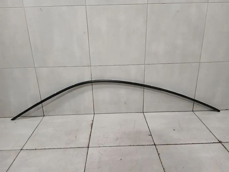 Porsche 911 991 GT3RS MK1 Body Moulding 99153748102 LH Strip LEFT-