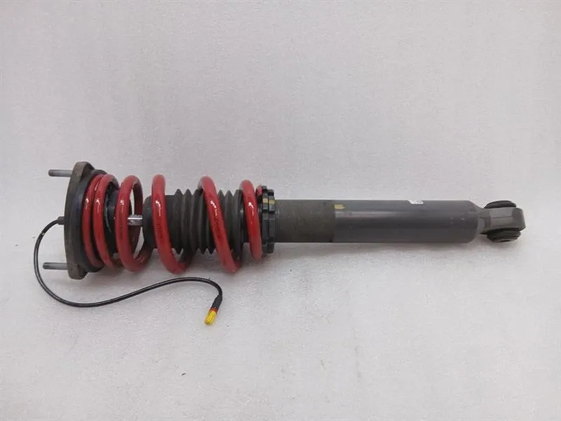 Porsche 911 991 GT3RS Mk1 Shock Absorber Rear 99133305585 Rear Shock Absorber -