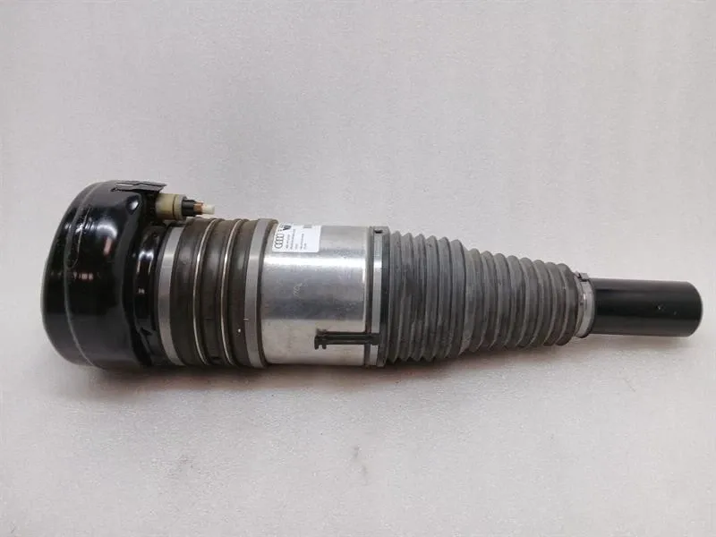 Audi E-Tron GT Shock Absorber Front 4KE616039E Front Shock Absorber-