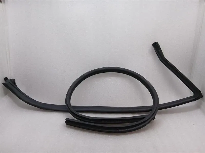 Ferrari Roma F169 door seal 783102 LH door seals left-