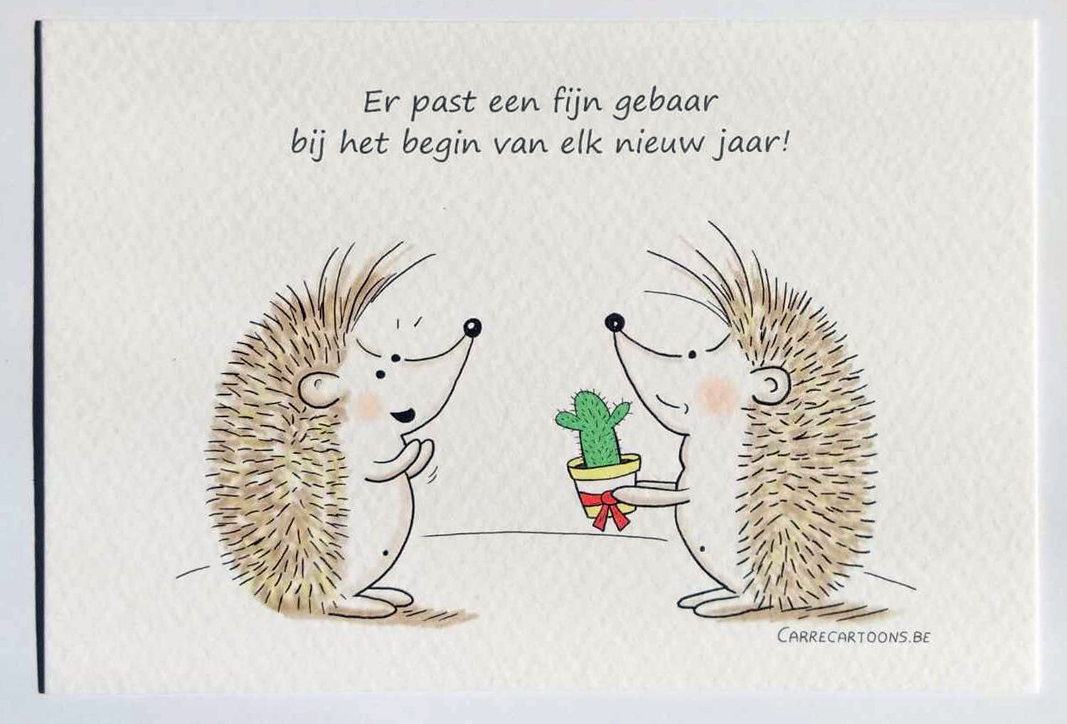 Nieuwjaarskaart een fijn gebaar (Enkele kaart MET omslag)