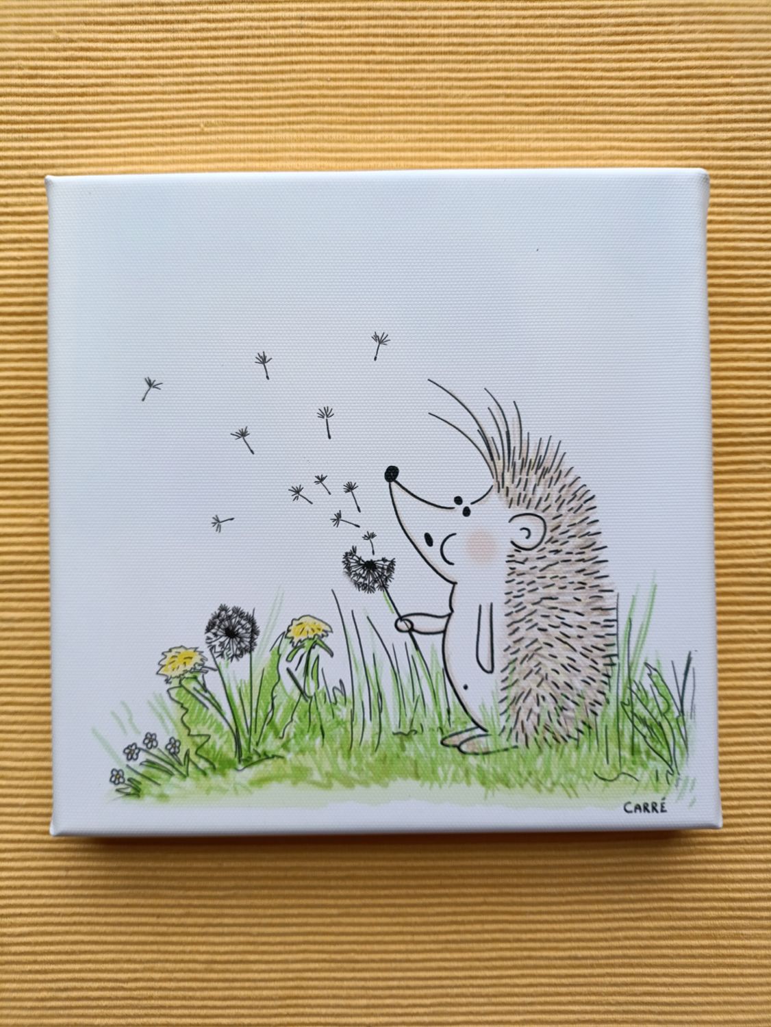 CANVAS pluisjes