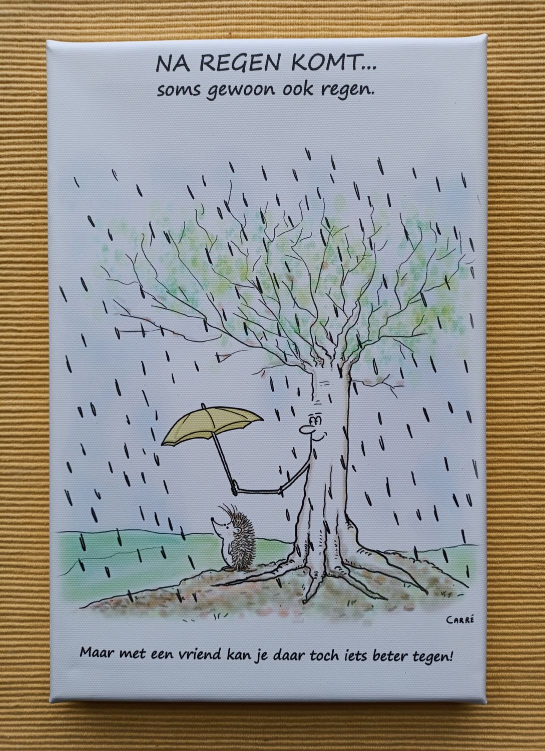 CANVAS Na regen komt...