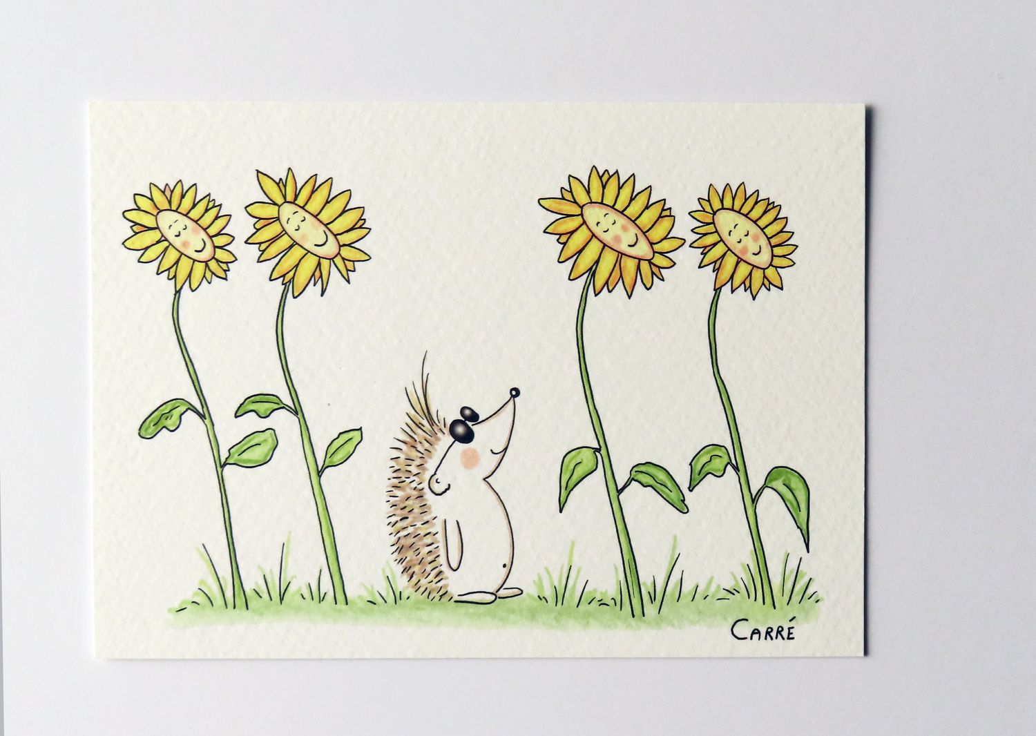 Zonnebloemen ( enkele kaart MET omslag )