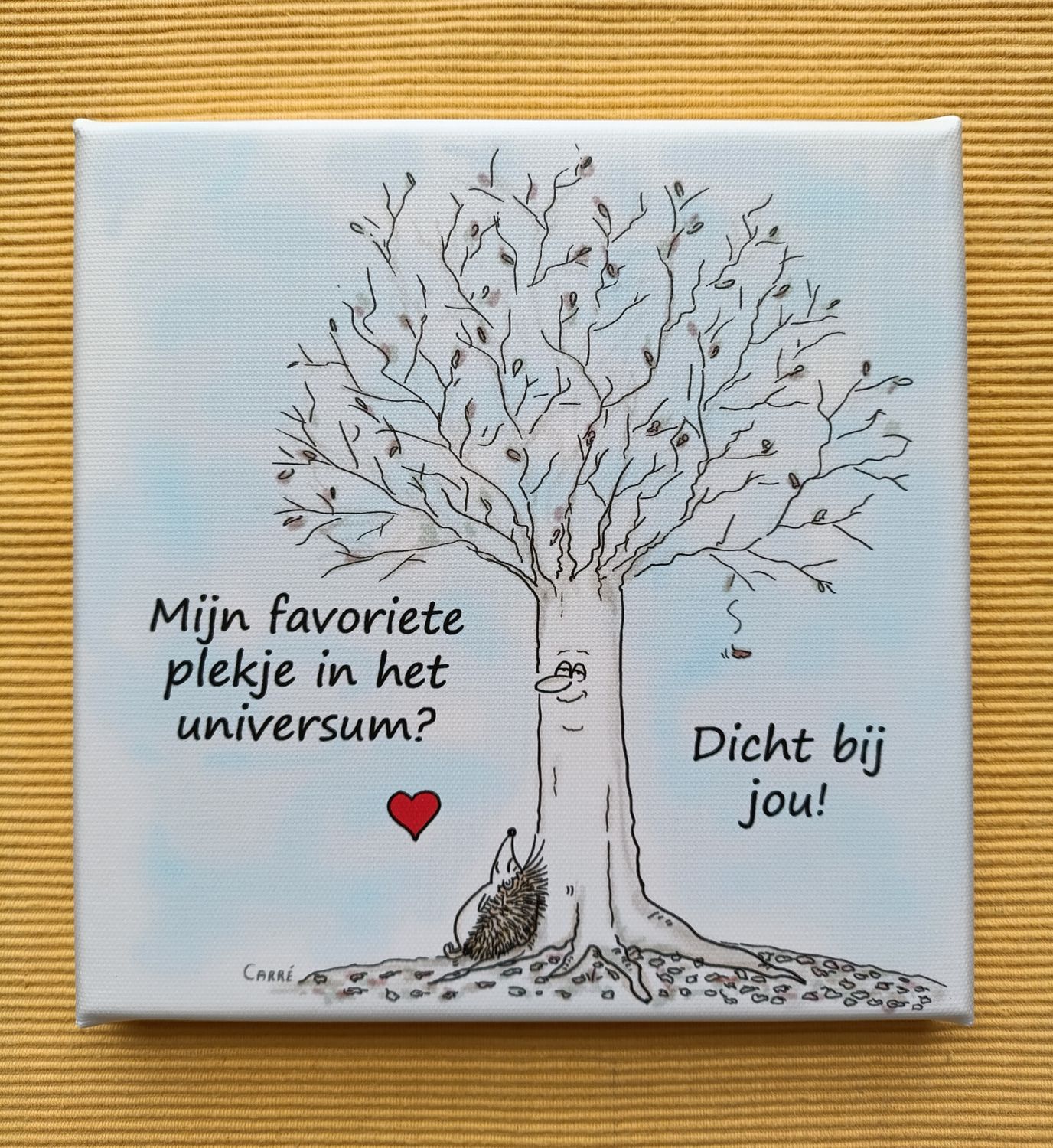 CANVAS favoriete plekje