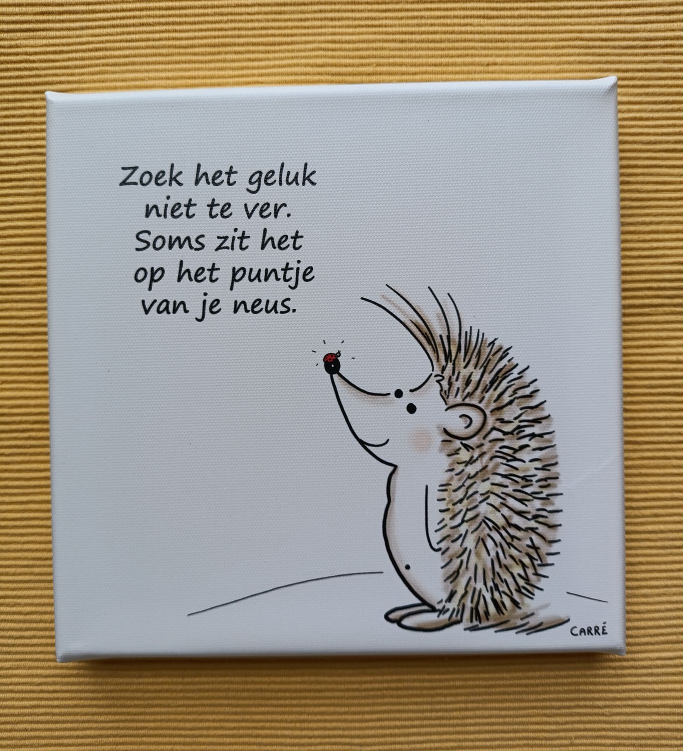 CANVAS puntje van je neus