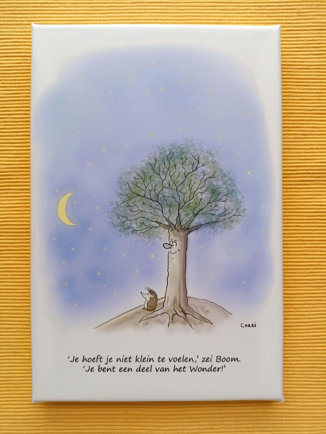 CANVAS Niet klein voelen...