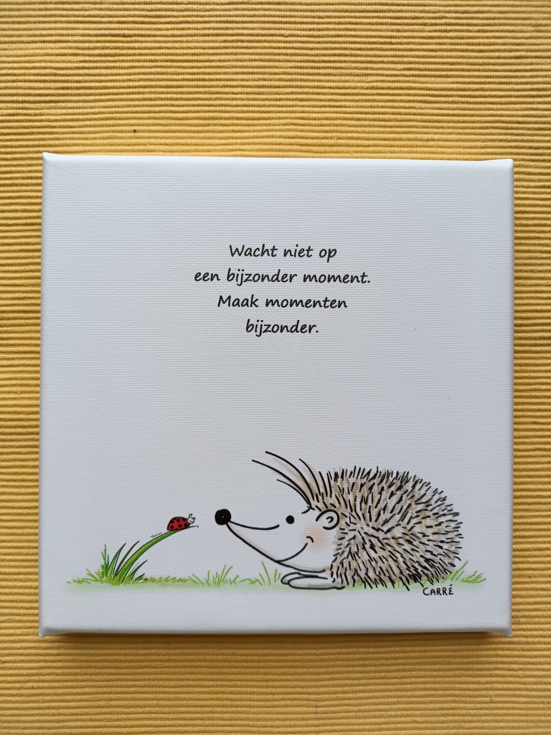 CANVAS Wacht niet op een bijzonder moment...