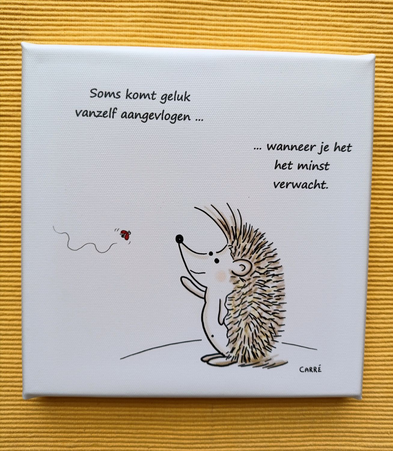 CANVAS Wanneer je het het minste verwacht...