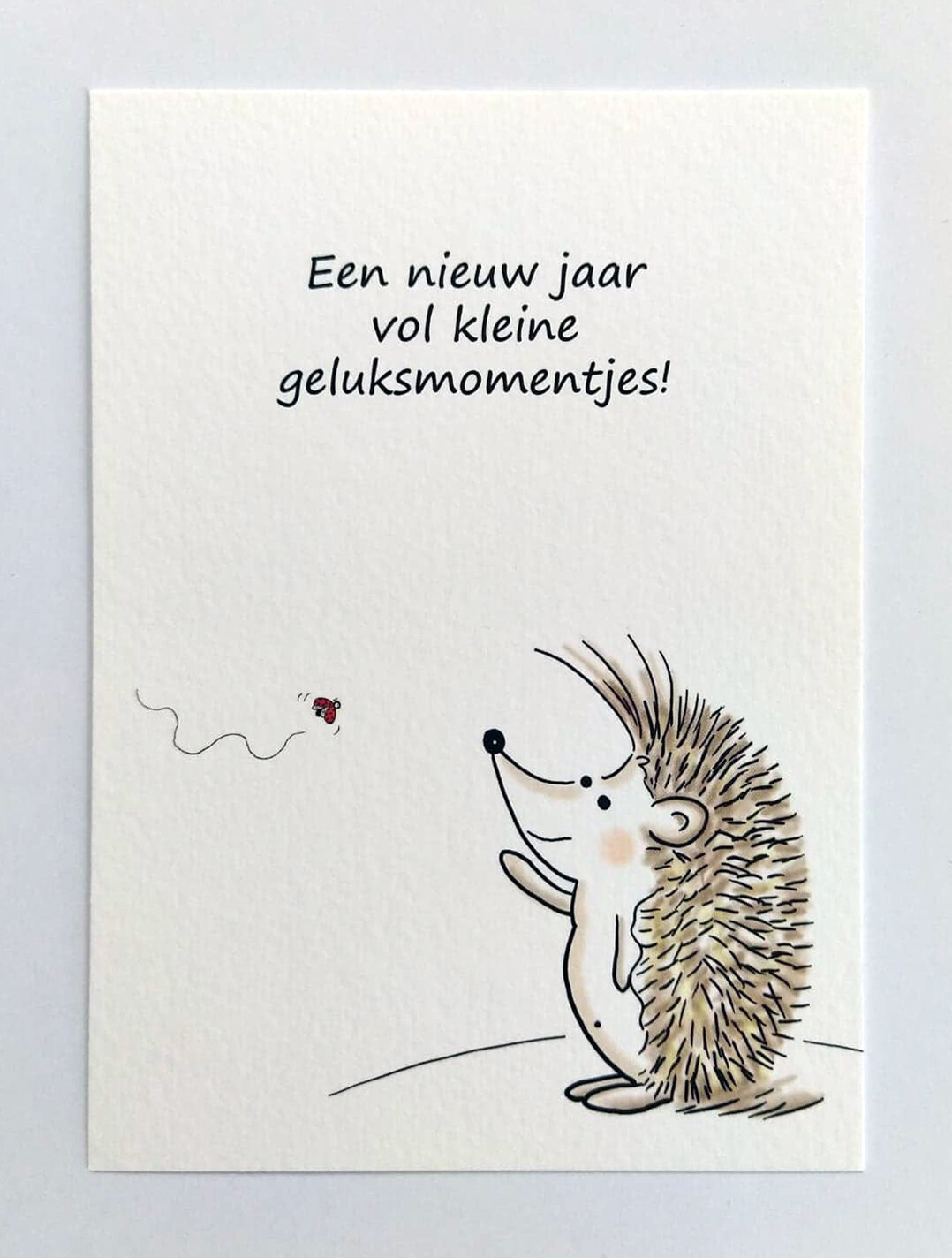 Een nieuw jaar vol kleine geluksmomentjes (enkele kaart MET omslag)