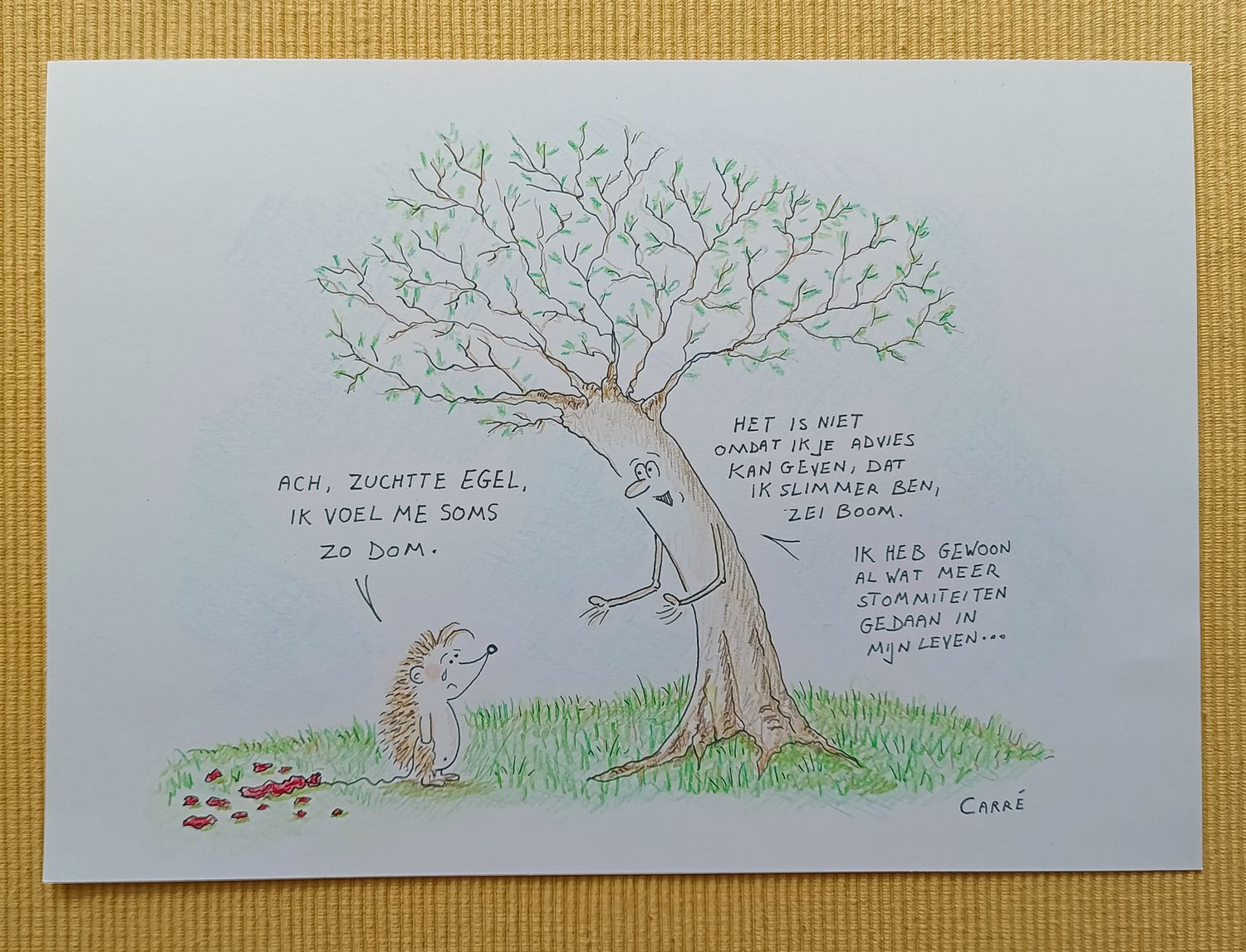 Originele tekening: Dom voelen