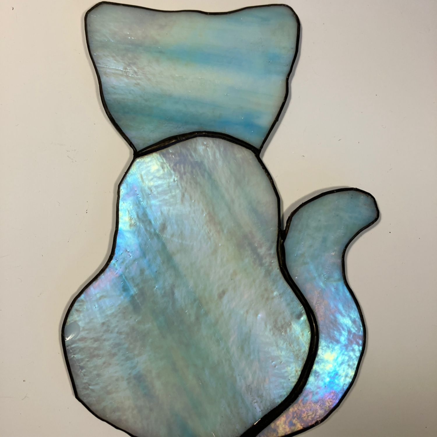 Blue Marble Cat