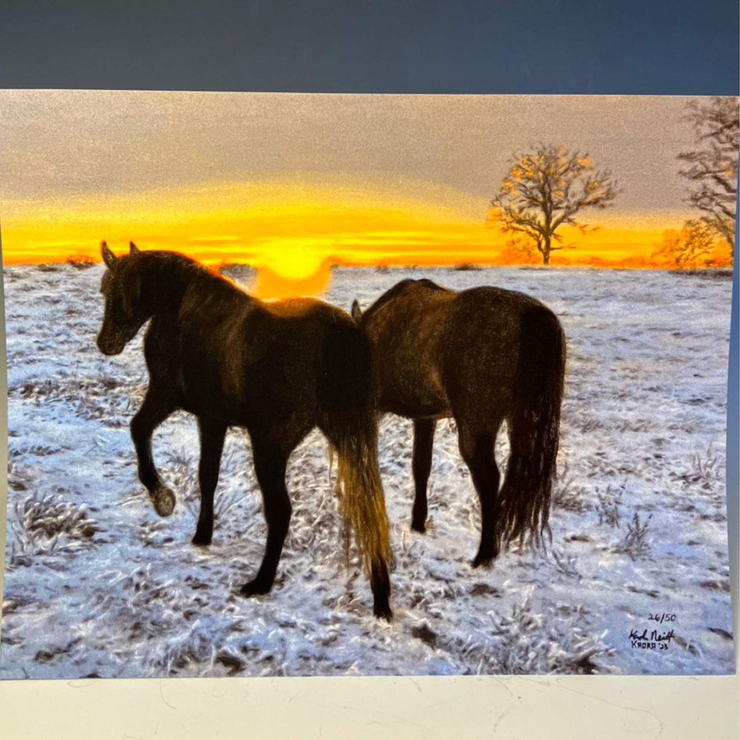 “Ice in the Tails” Prints