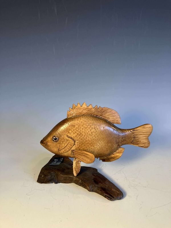 Small Bluegill Swimmer