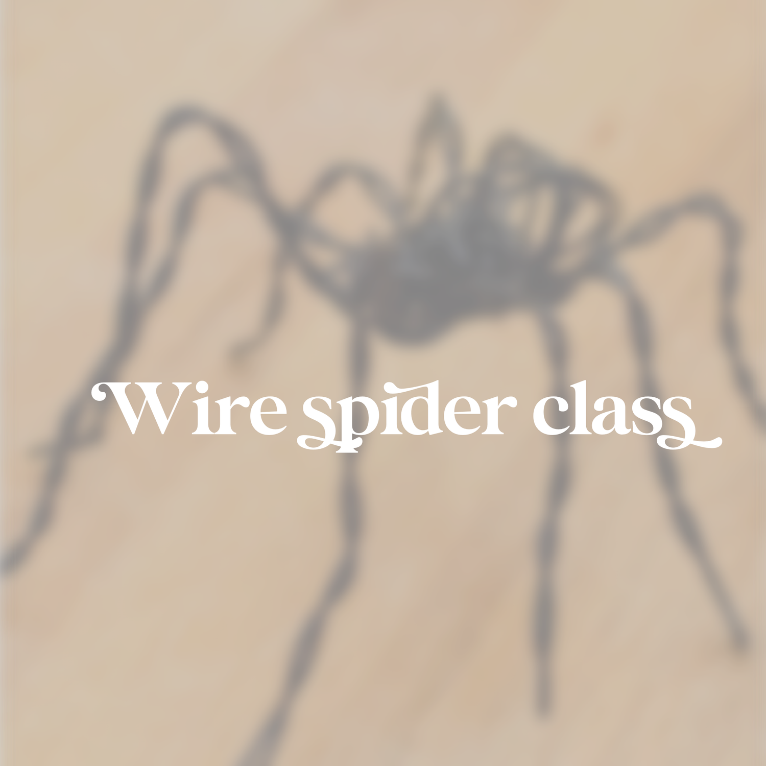Wire Spider Class • Ages 7-16 • 10/14 • 10am-12pm