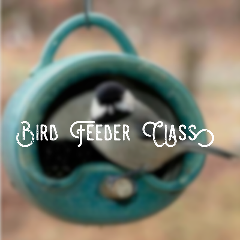 Bird Feeder Class • Age 14+ • 9/7 • 7-8pm