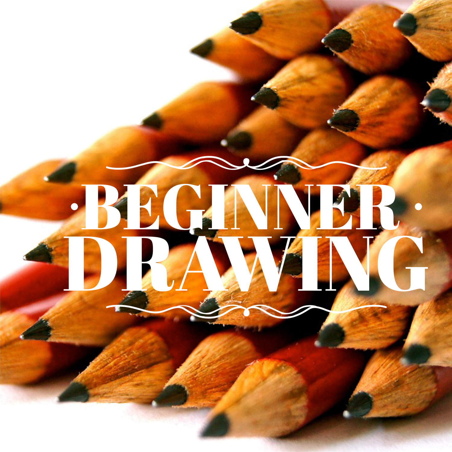 Beginner Drawing • March Mondays • 6-8pm • $200