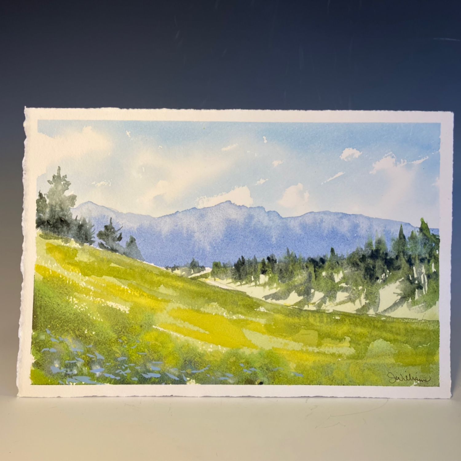 "Blue Mountain Spring" Original
